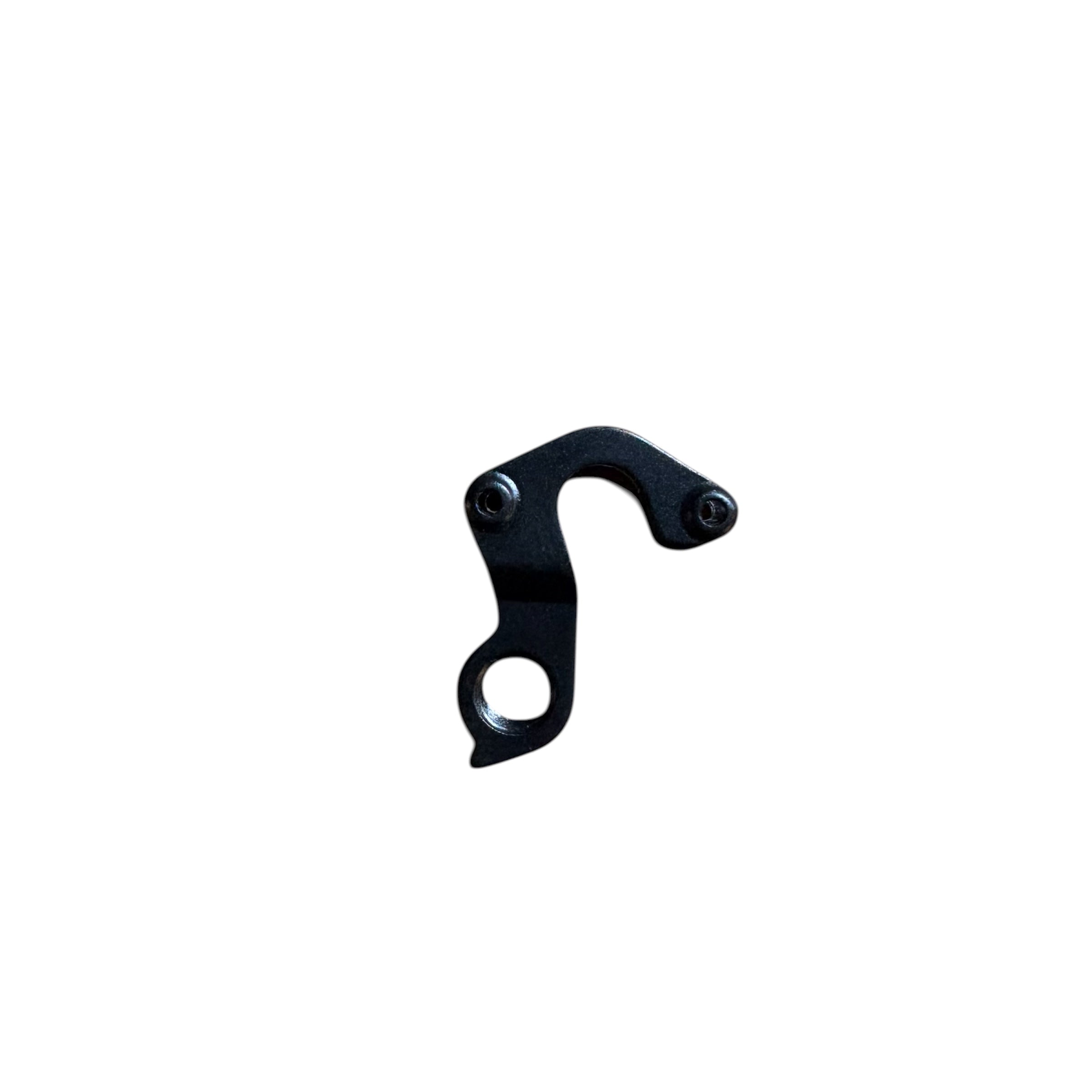 Derailleur hanger replacement for San Remo rim brake frame