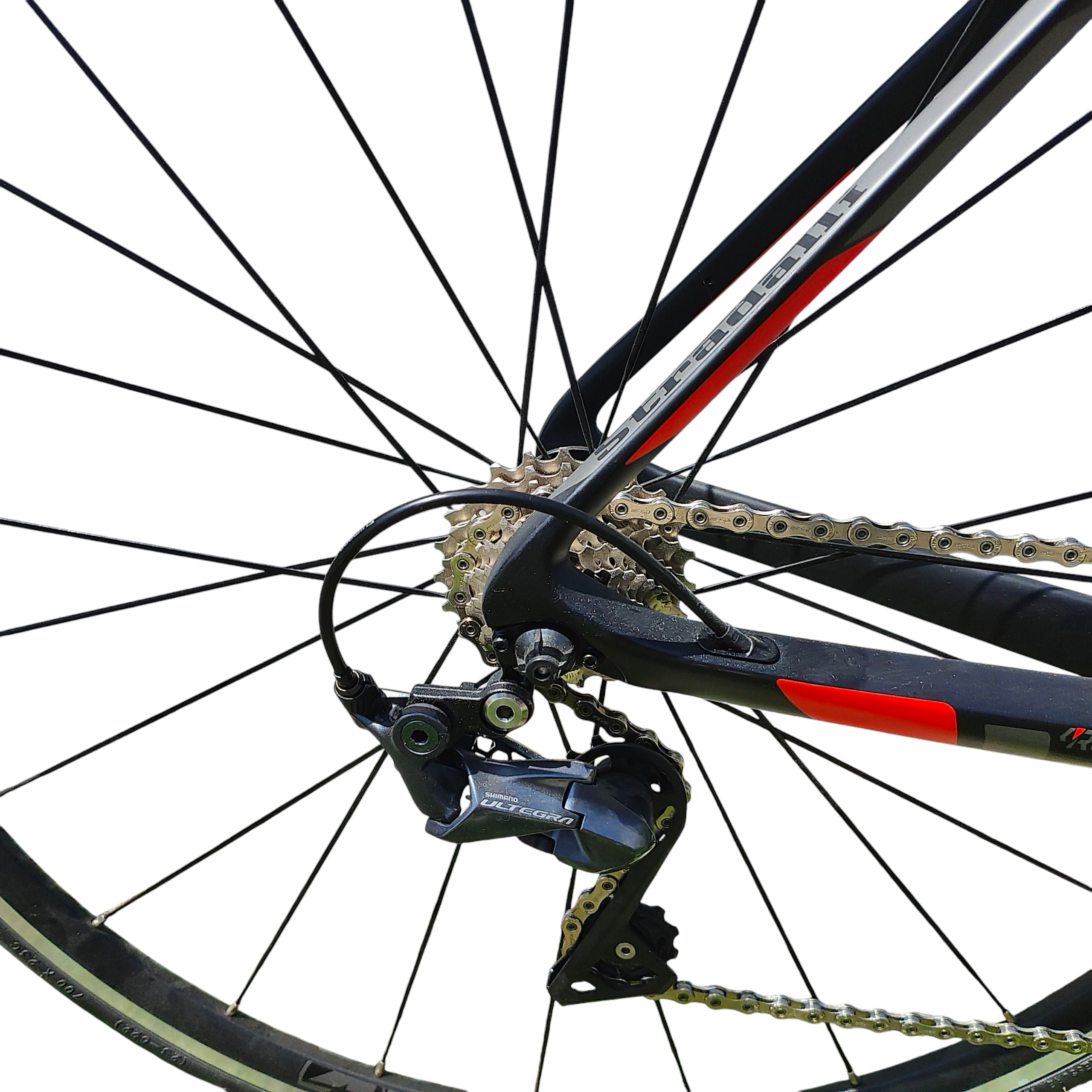 Stradalli San Remo-2